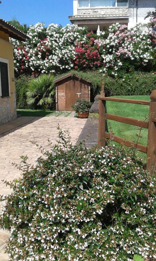 L'Infinito Bed and Breakfast Carbognano Exteriör bild